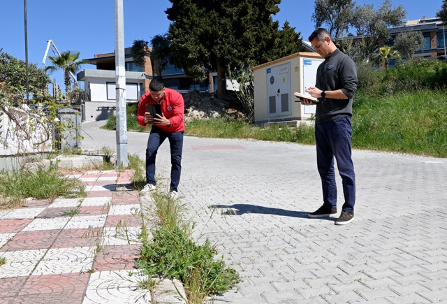 20250912 Guvercin Masa 02