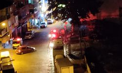 Aydın'da fayton cayır cayır yandı