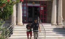 Makilik alanda Hint keneviri yetiştirdi, polisten kaçamadı