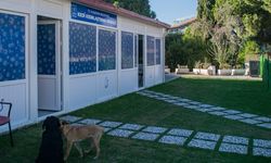Davutlar Mahallesine Kedi Kısırlaştırma Merkezi açılıyor
