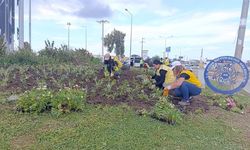 Aydın Büyükşehir Belediyesi Didim'i turizm sezonuna hazırlıyor