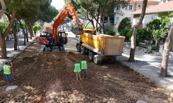 Başkan Çerçioğlu’ndan Aydın genelinde yol seferberliği