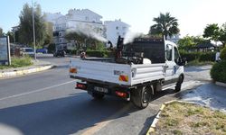 Kuşadası Belediyesi halk sağlığı için vektörel mücadelesini sürdürüyor