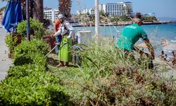 Kuşadası'nda Kadınlar Denizi sahil şeridine yeni peyzaj düzenlemesi