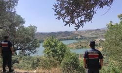 Jandarmadan dronlu orman denetimi
