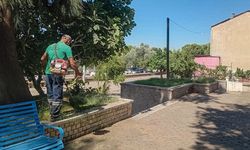 Efeler Belediyesi parklarda temizlik seferberliği başlattı