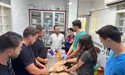 Aydın’da yaralı leylek için protez bacak üretilecek