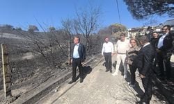 CHP'li Karakoz'dan iktidara zor "orman yangını" soruları