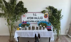 Aydın’da zehir taciri jandarmadan kaçamadı