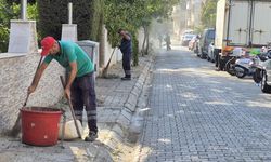 Efeler Belediyesi Zafer Mahallesinde kapsamlı çalışma yaptı