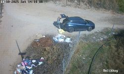 Çevreyi kirleten şahıs kameraya yakalandı, cezayı yedi