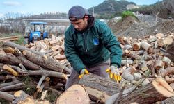 Kuşadası’nda ağaç atıkları yakacağa dönüşüyor