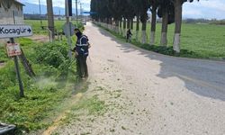Başkan Anıl Yetişkin’le Efeler’in yeşil alanları tertemiz