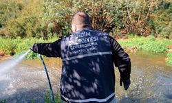 Didim Belediyesi vektörel mücadeleyi yıl boyunca sürdürüyor