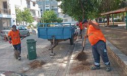Efeler Belediyesi ekipleri mahalleleri pırıl pırıl yaptı