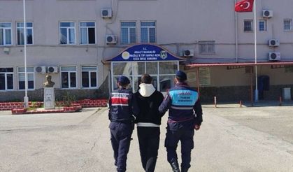 Nazilli'de 2 operasyonda 2 azılı suçlu yakalandı