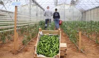 Başkan Çerçioğlu'ndan tarım üreticilerine destek