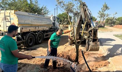 Efeler’de ağaçlar yeni yaşam alanına kavuştu