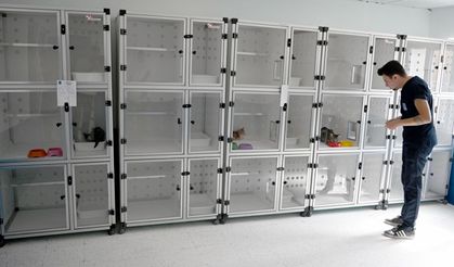 Davutlar Mahallesine kedi kısırlaştırma merkezi açıldı