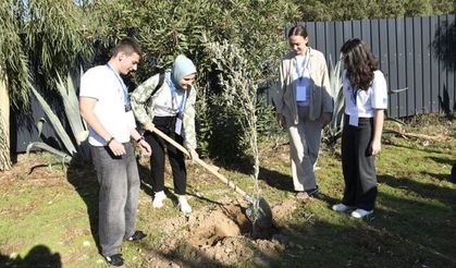 Zeytinler ‘barış ve kardeşlik’ için dikildi