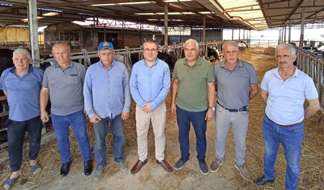 CHP’li Karakoz: “AKP, süt üreticilerini bitirdi”