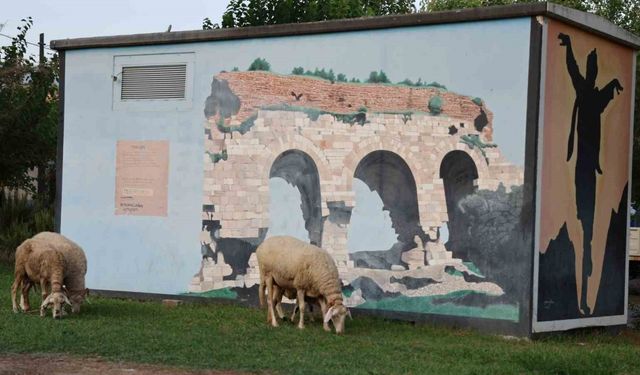 Aydın’daki parklarda çocuk yok, koyun var!