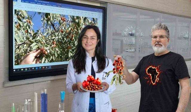 Karya-Farma, Eylül ayında nar ve iğdeyi laboratuvara aldı