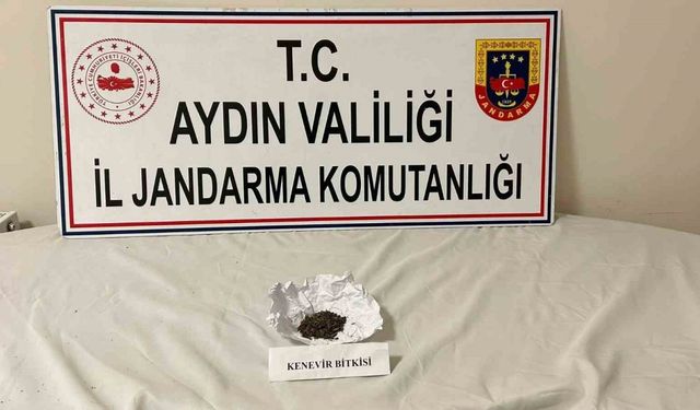 Aydın jandarmasından uyuşturucu operasyonu