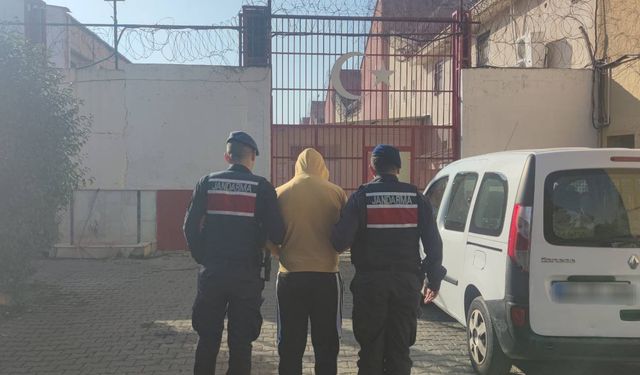 100 litre zeytinyağı çaldı, jandarma 1 günde yakalandı