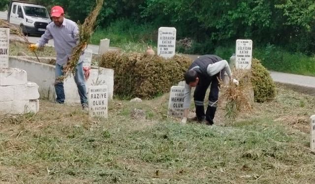 Efeler’in mezarlıkları köşe bucak termizlendi