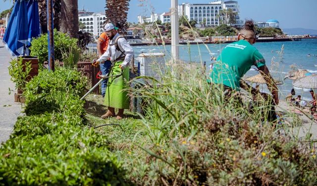 Kuşadası'nda Kadınlar Denizi sahil şeridine yeni peyzaj düzenlemesi