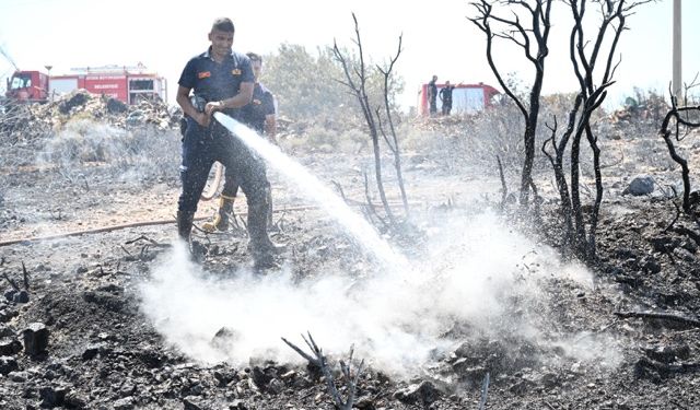 Aydın'da son 48 saatte çıkan 93 yangına itfaiye müdahale etti