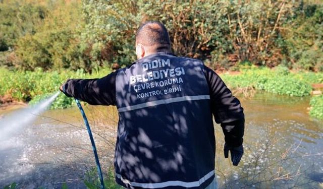 Didim Belediyesi vektörel mücadeleyi yıl boyunca sürdürüyor