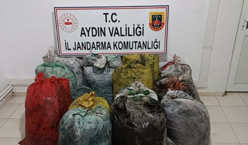 Aydın’da zeytin hırsızlarına suçüstü
