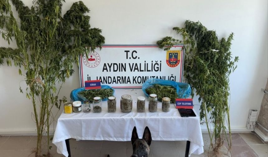 Aydın’da zehir taciri jandarmadan kaçamadı