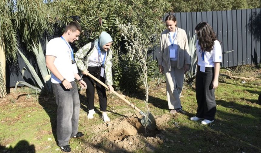 Zeytinler ‘barış ve kardeşlik’ için dikildi