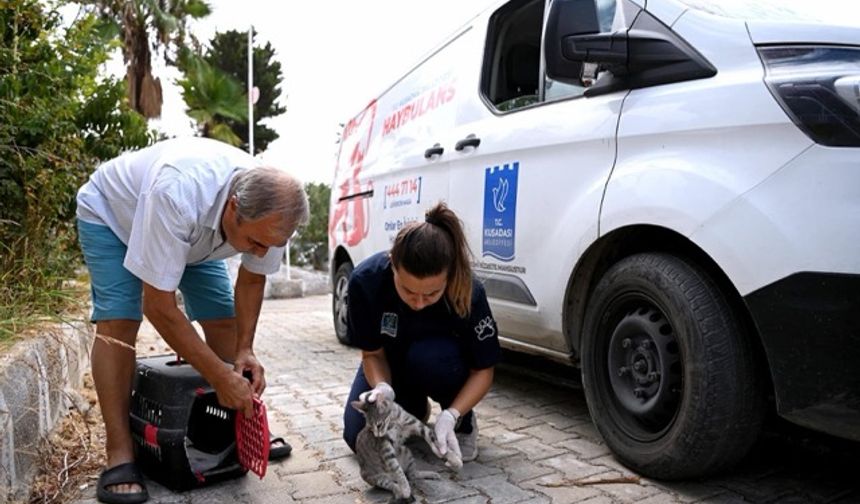 Kuşadası Belediyesi 2025 yılında da can dostların yanında oldu